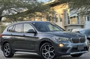 BMW X1 2018 Gray