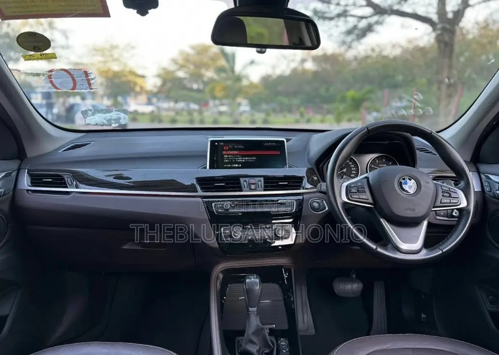 BMW X1 2018 Gray
