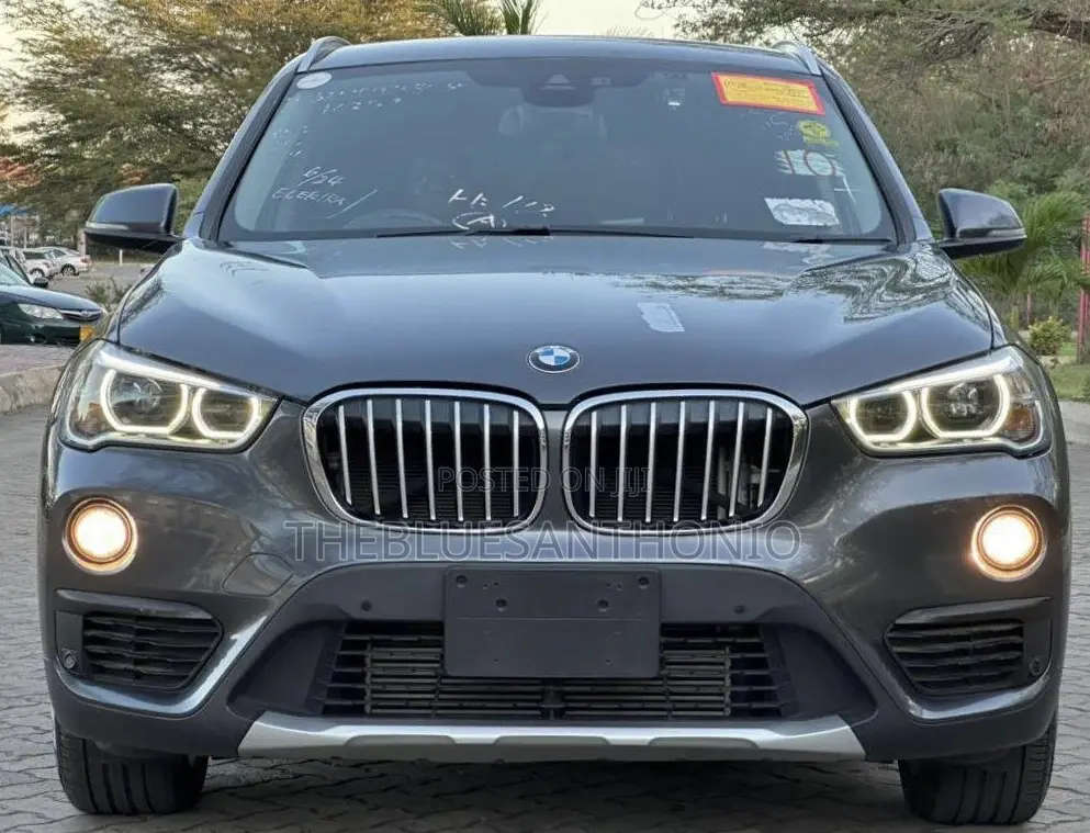 BMW X1 2018 Gray