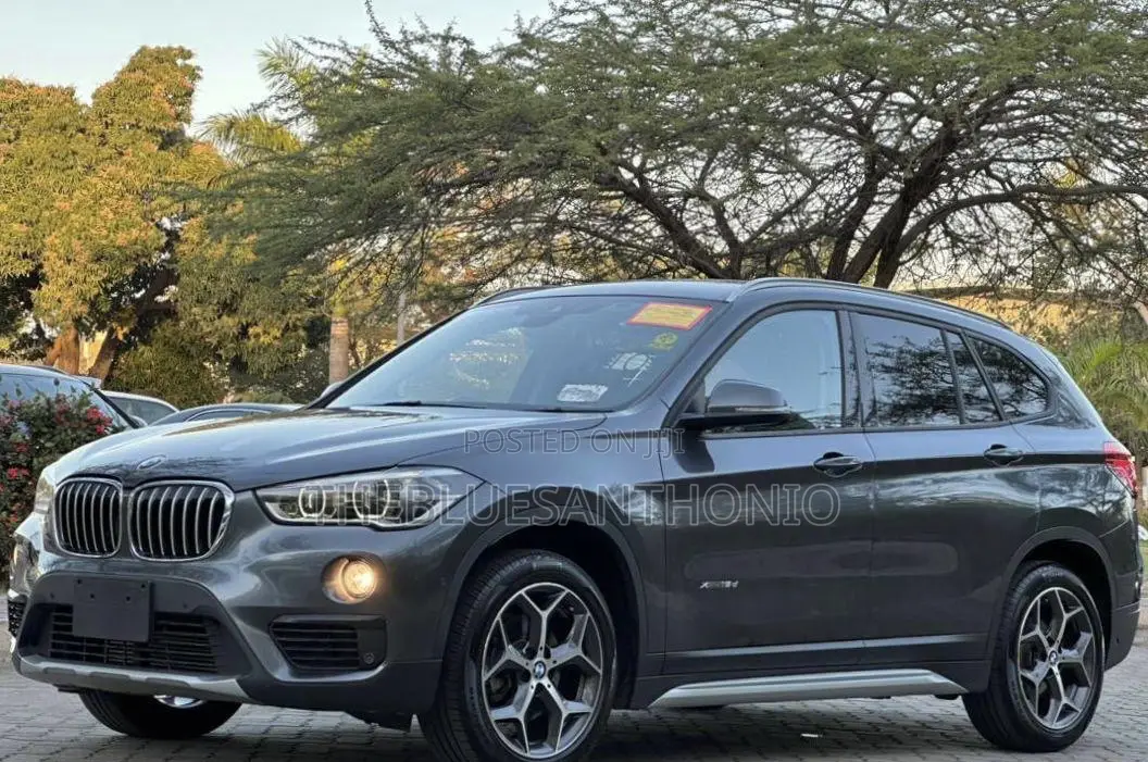 BMW X1 2018 Gray