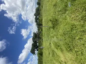 Plot for Sale Malimbika Mwongozo
