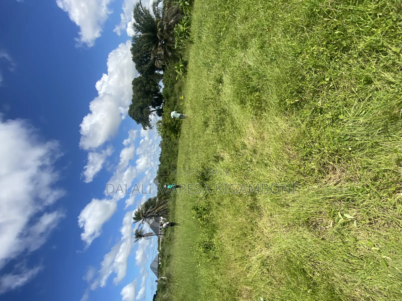 Plot for Sale Malimbika Mwongozo