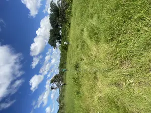 Plot for Sale Malimbika Mwongozo
