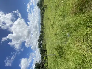 Plot for Sale Malimbika Mwongozo