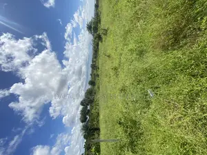 Plot for Sale Malimbika Mwongozo