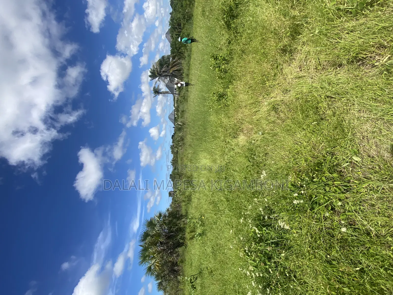Plot for Sale Malimbika Mwongozo