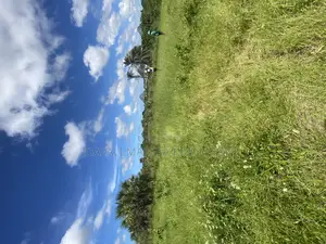 Plot for Sale Malimbika Mwongozo