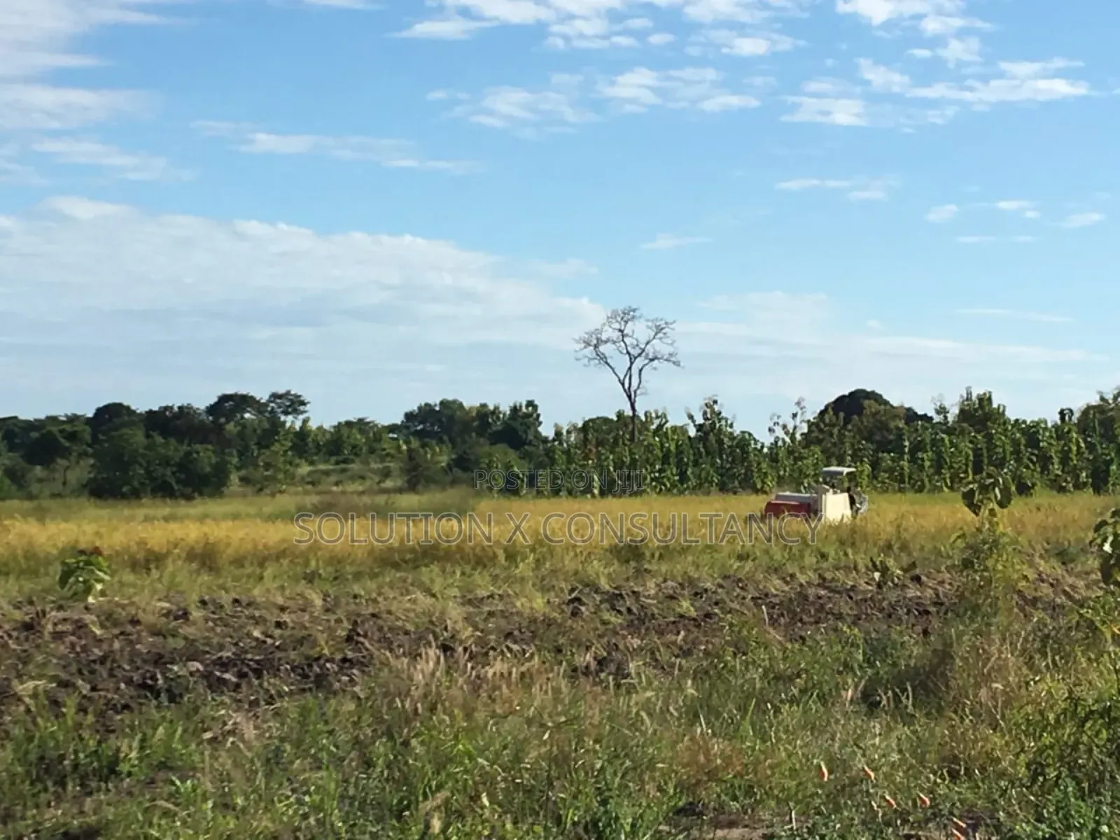 Farm Land With Teak Trees, Mango Trees for Sale at Morogoro - Ifakara