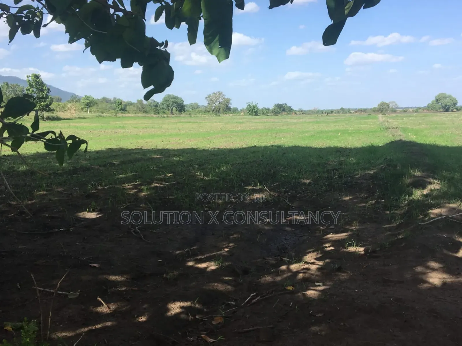 Farm Land With Teak Trees, Mango Trees for Sale at Morogoro - Ifakara