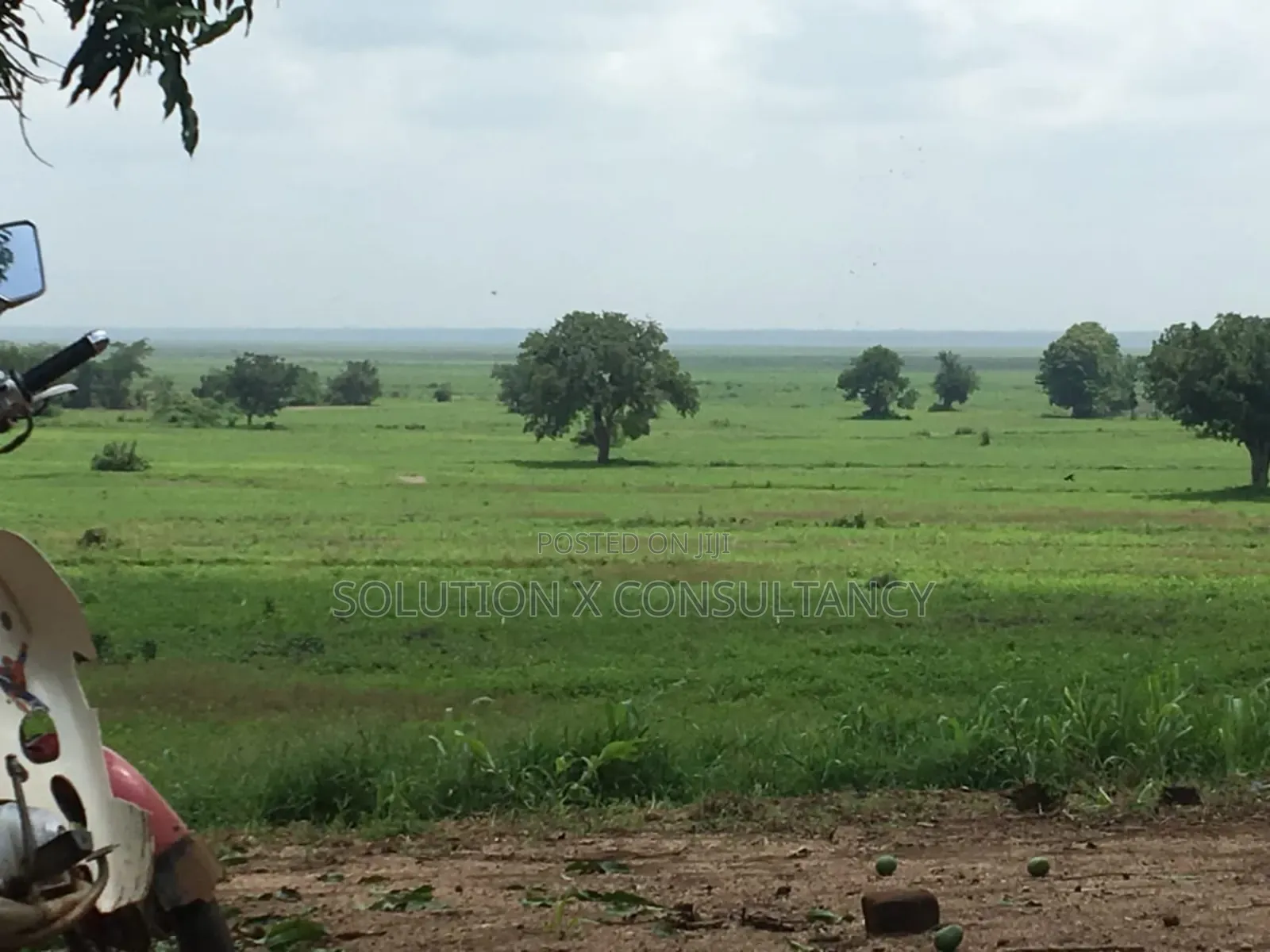 Farm Land With Teak Trees, Mango Trees for Sale at Morogoro - Ifakara