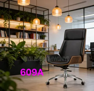 Ergonomic Chair /Kiti Cha Ofisini / Office Chair
