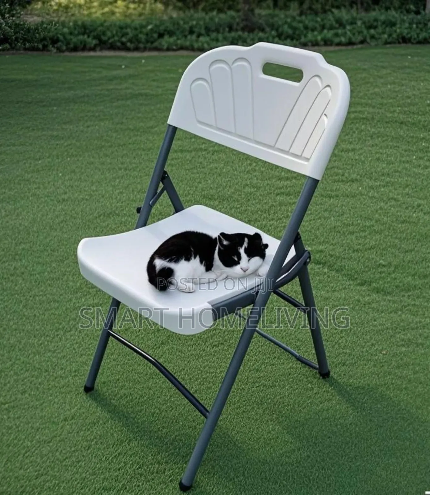 Foldable Chair