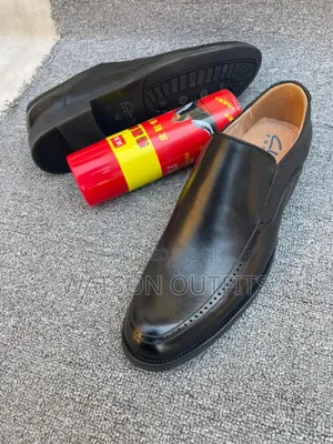 Shoes Spray or Chemicals for Best Leather Shoes Shinning Outcomes