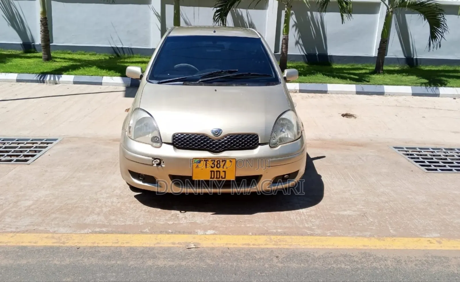 Toyota Vitz 2003 Gold