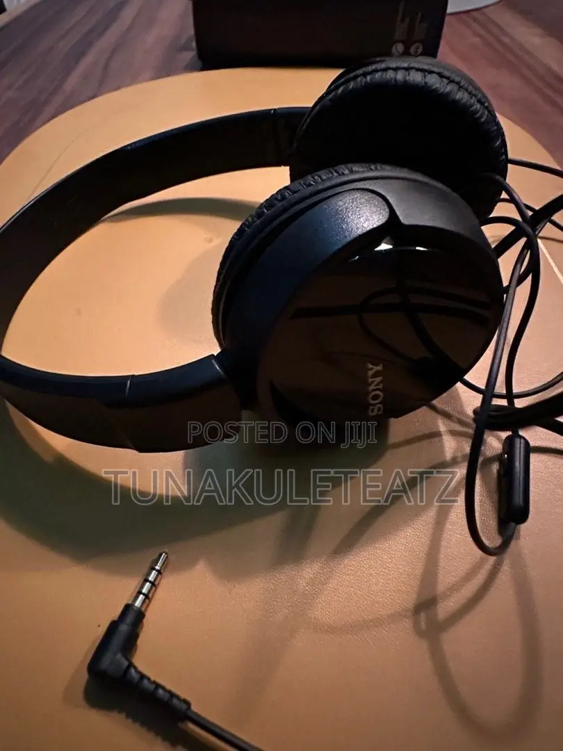 Sony MDR-Zx110ap