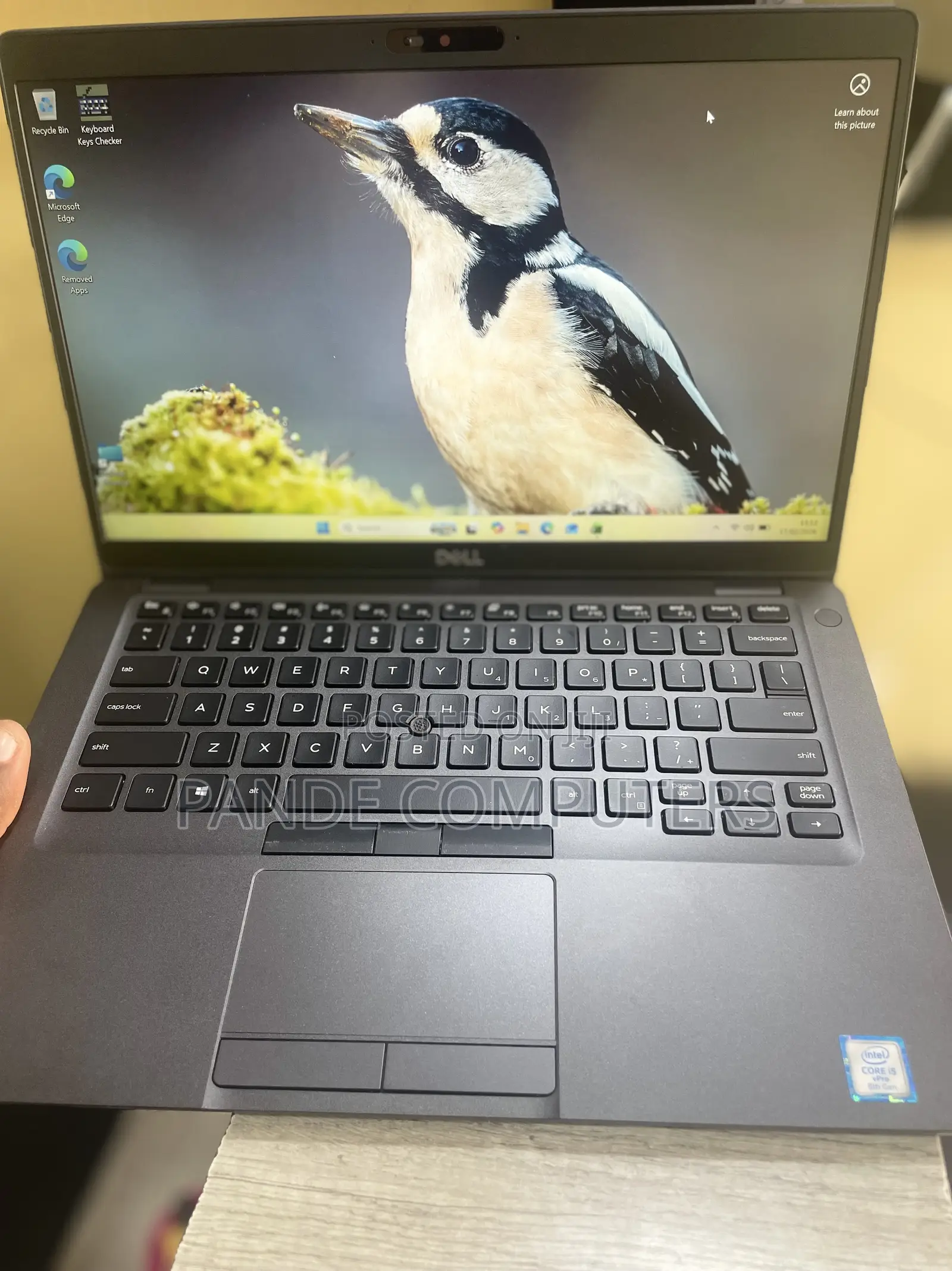 Laptop Dell Latitude 5400 8GB Intel Core i5 SSD 256GB