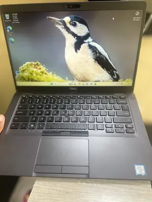 Laptop Dell Latitude 5400 8GB Intel Core i5 SSD 256GB