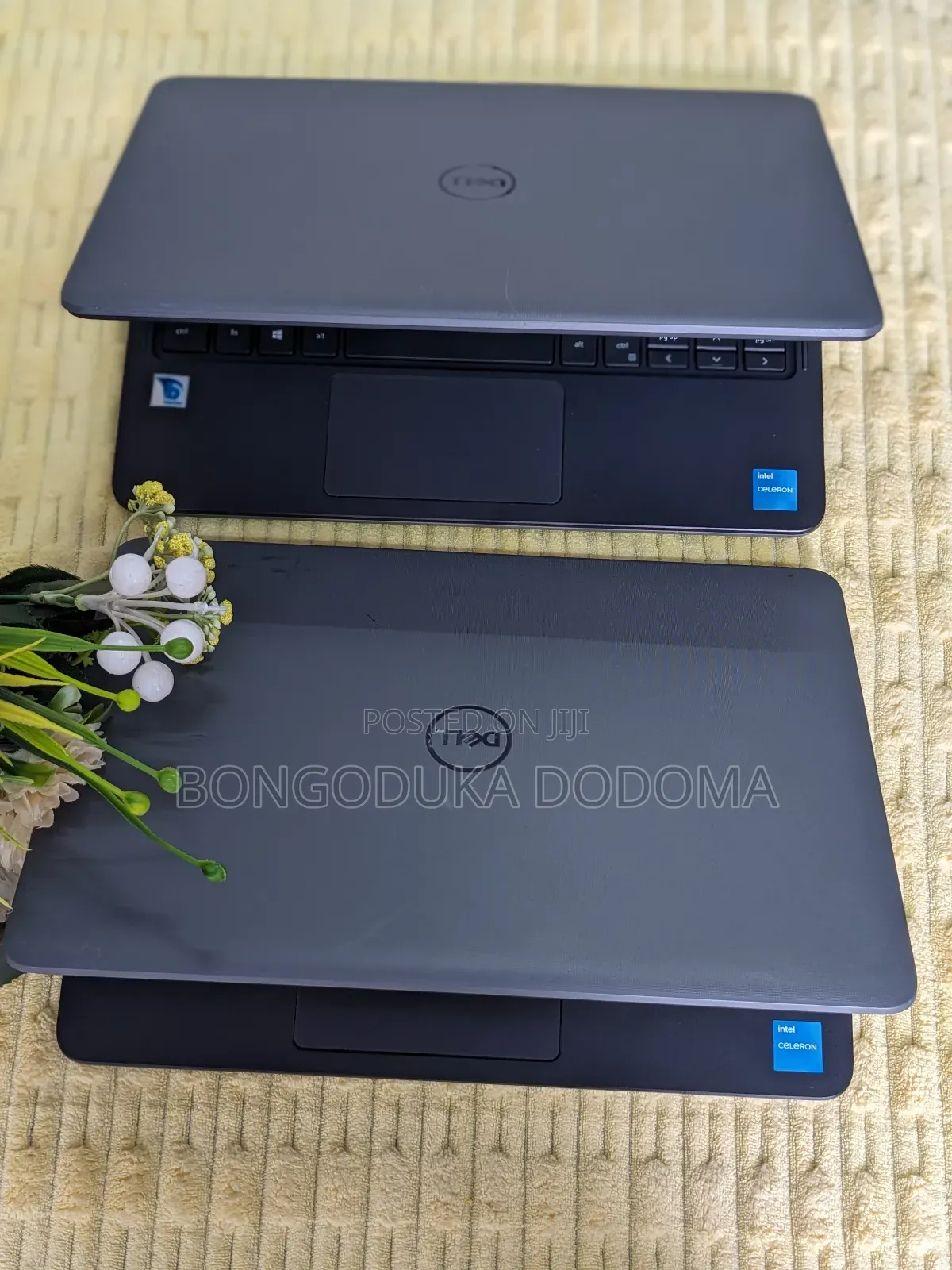 Laptop Dell Latitude 3120 4GB Intel SSD 128GB