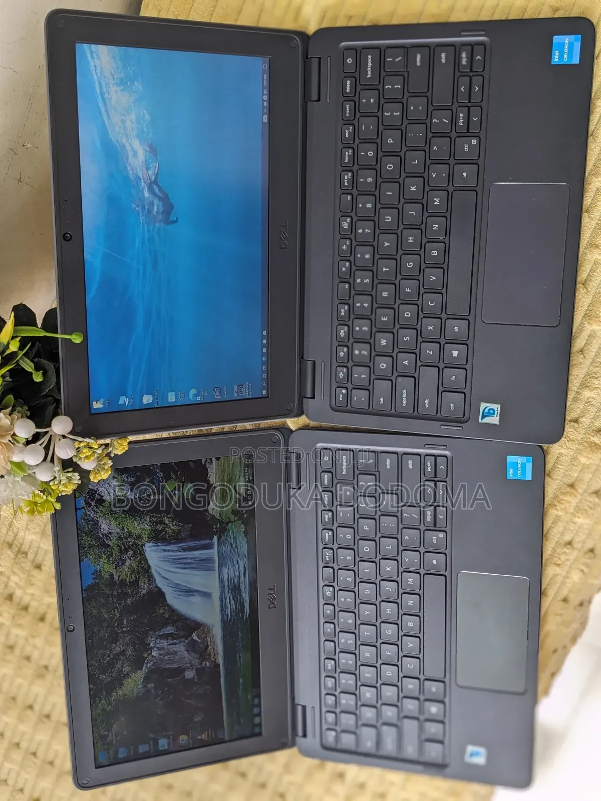 Laptop Dell Latitude 3120 4GB Intel SSD 128GB