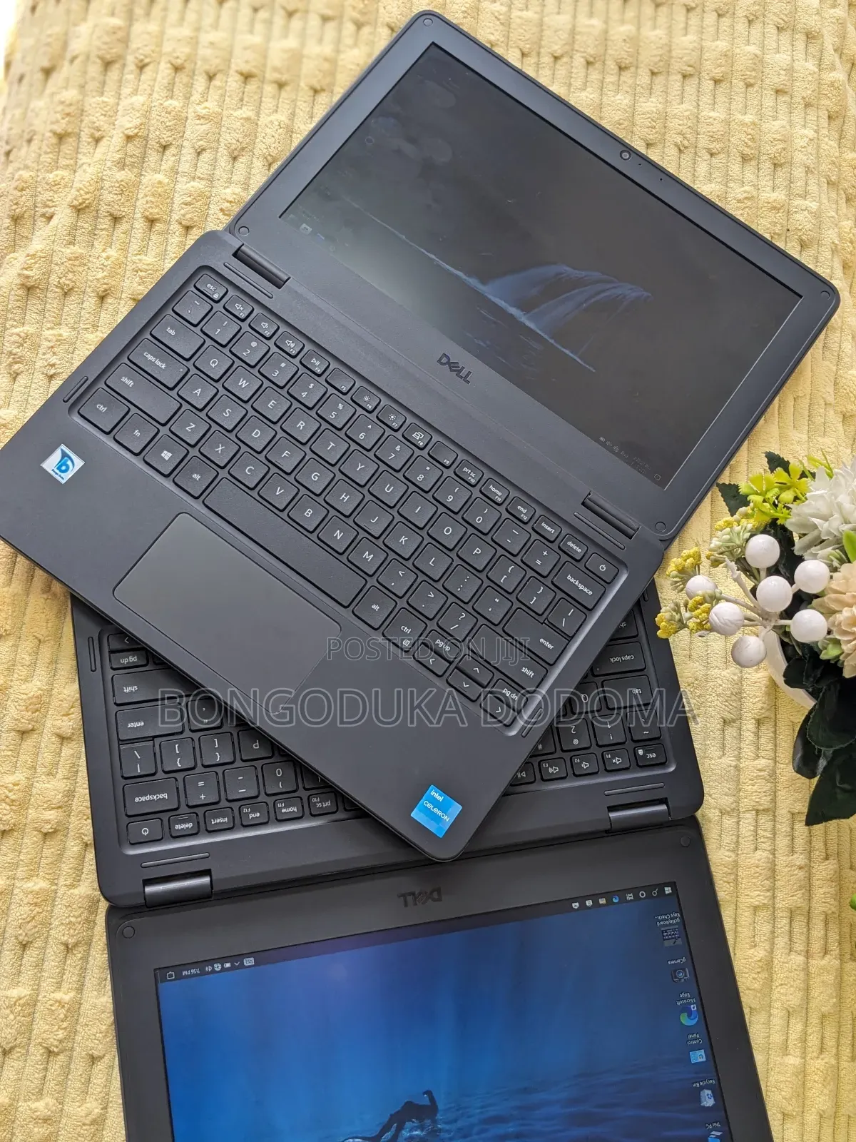 Laptop Dell Latitude 3120 4GB Intel SSD 128GB