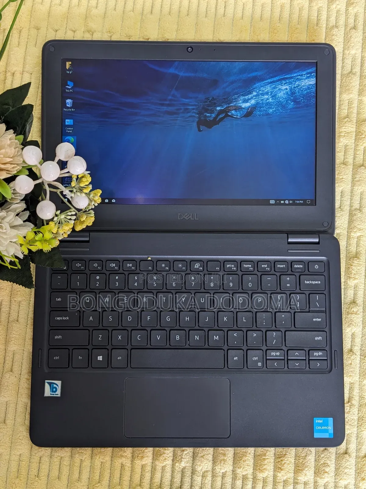 Laptop Dell Latitude 3120 4GB Intel SSD 128GB