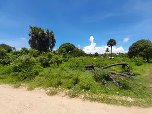 Beach No 2 for Sale Kigamboni Geza Ulole