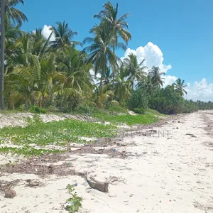 Beach Plot on Sale Ushongo Pangani Tanga.