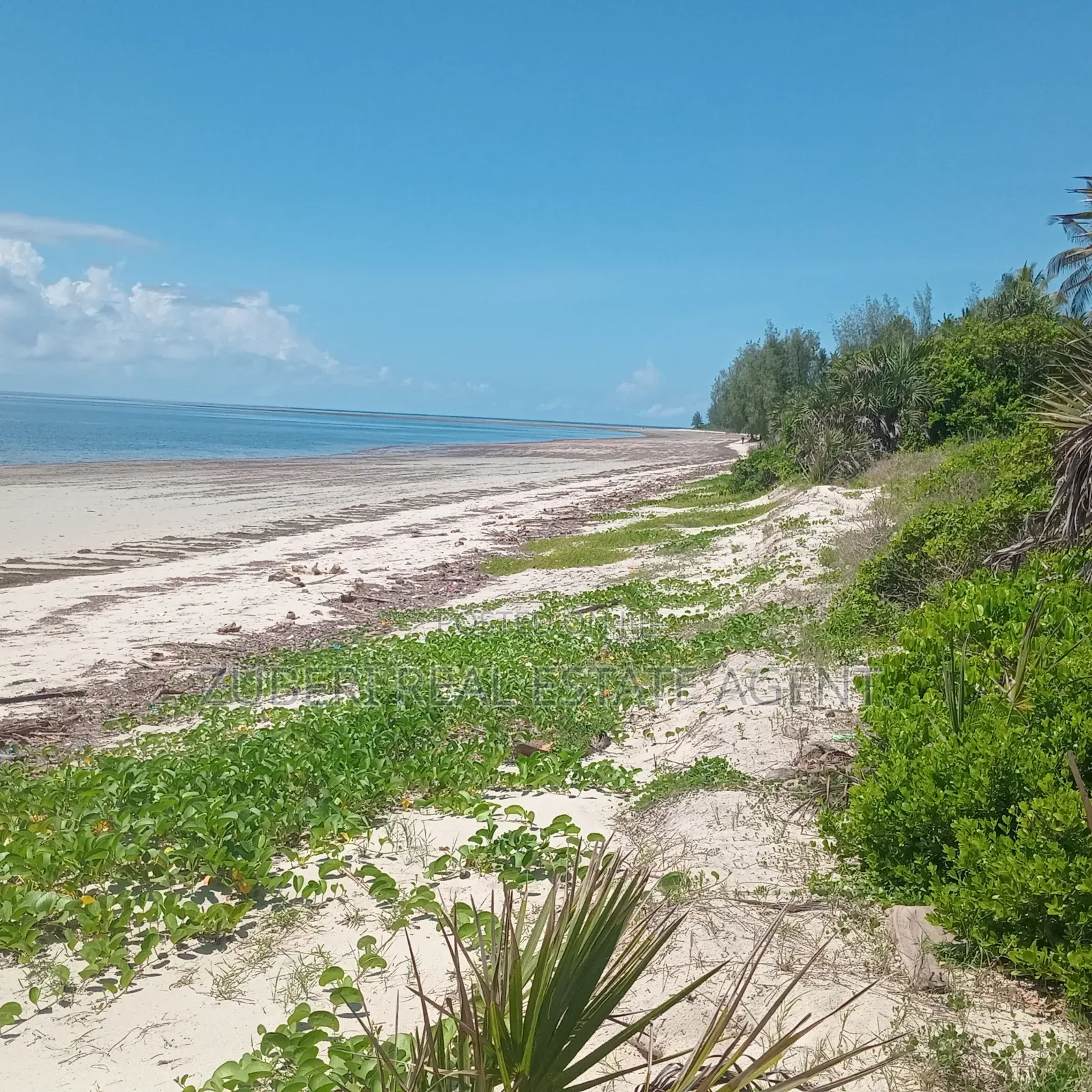 Beach Plot on Sale Ushongo Pangani Tanga.