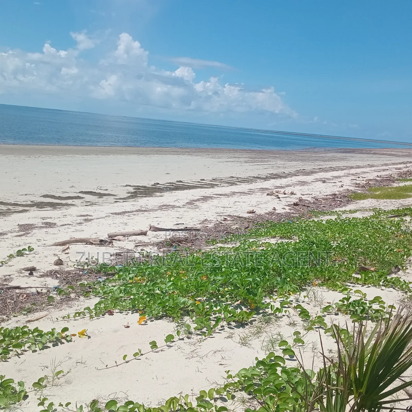 Beach Plot on Sale Ushongo Pangani Tanga.