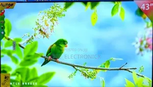 Offer!! Offer!! Alitop Tv Nchi 43, Full Hd 1080p