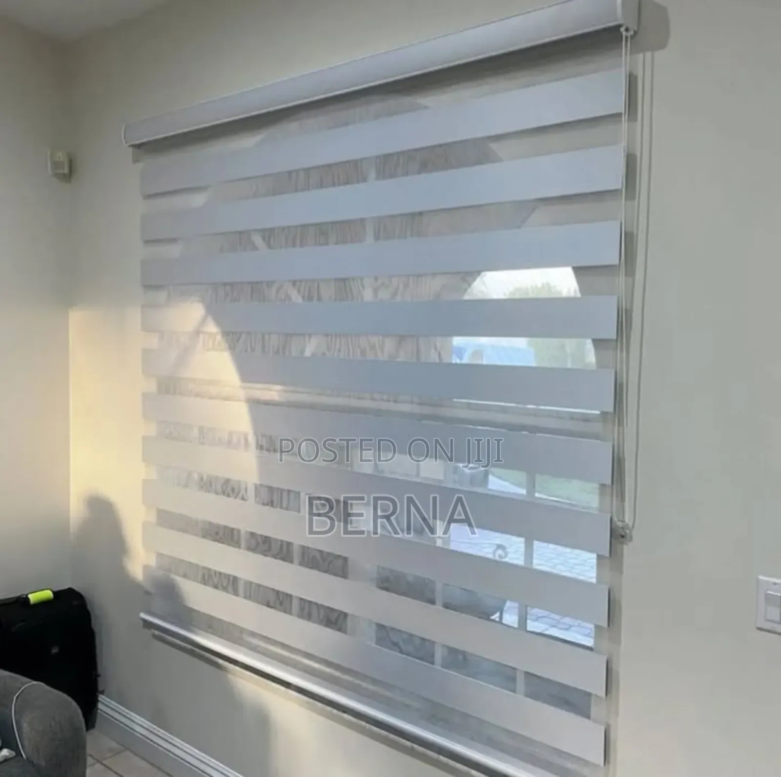 Zebra Blinds
