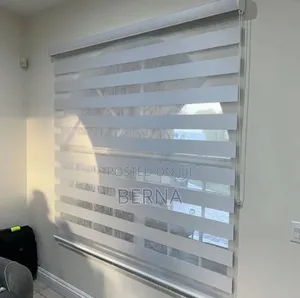 Zebra Blinds