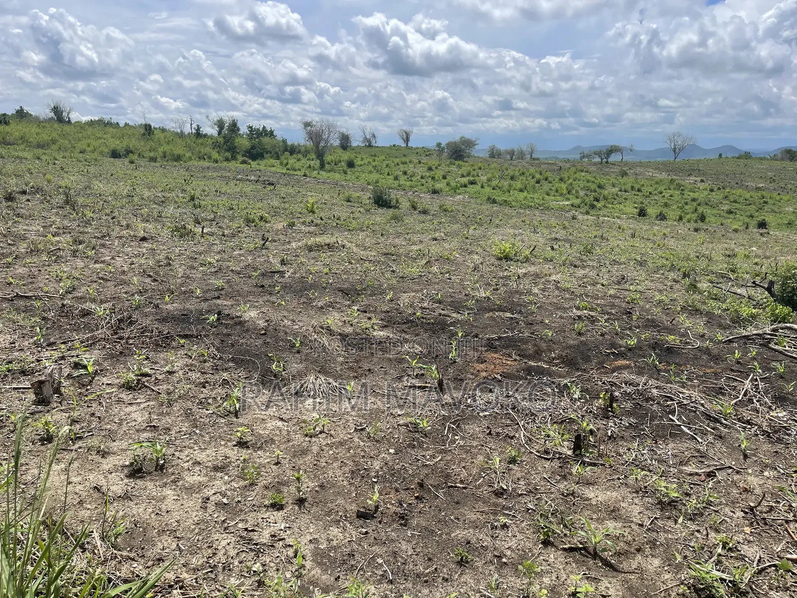 Shamba Linauzwa Kiwangwa Eka 20