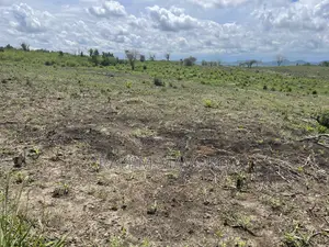 Shamba Linauzwa Kiwangwa Eka 20
