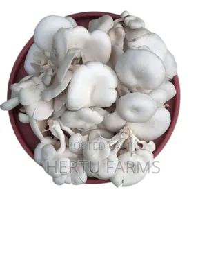 Oyster Mushrooms (Uyoga)