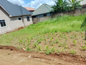 Plot for Sell