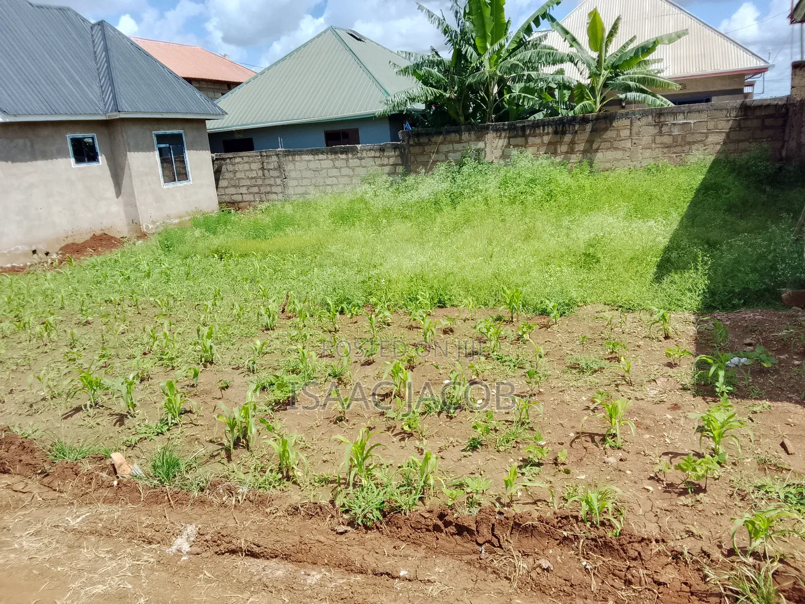 Plot for Sell