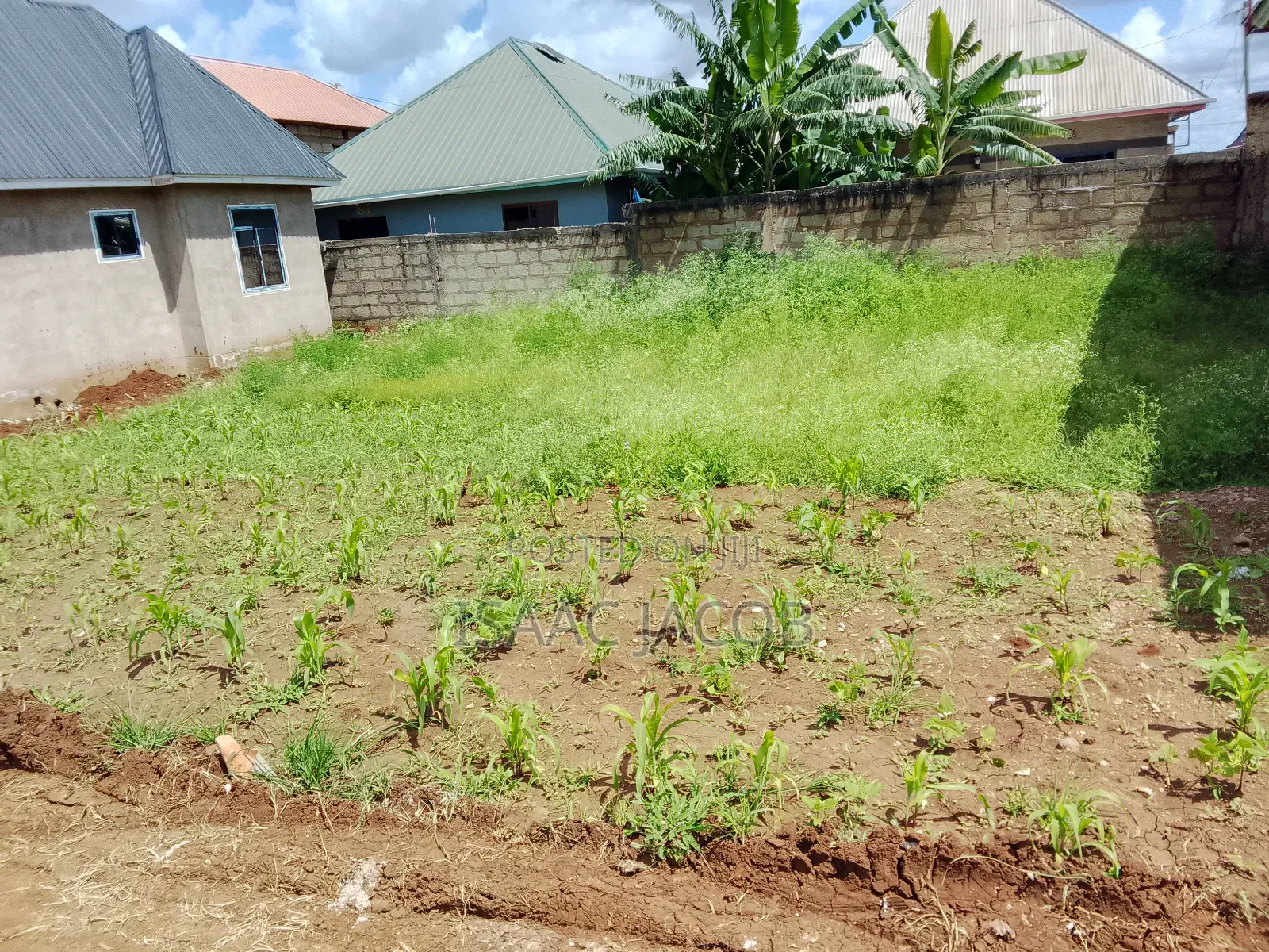 Plot for Sell