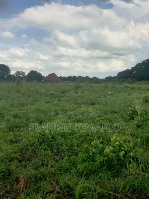 Viwanja Vinauzwa Na Kukopeshwa Kiluvya Na Kibaha