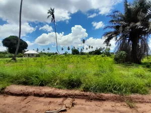 Eneo Linauzwa Kigamboni Mikwambe