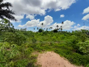 Eneo Linauzwa Kigamboni Mikwambe