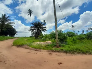 Eneo Linauzwa Kigamboni Mikwambe