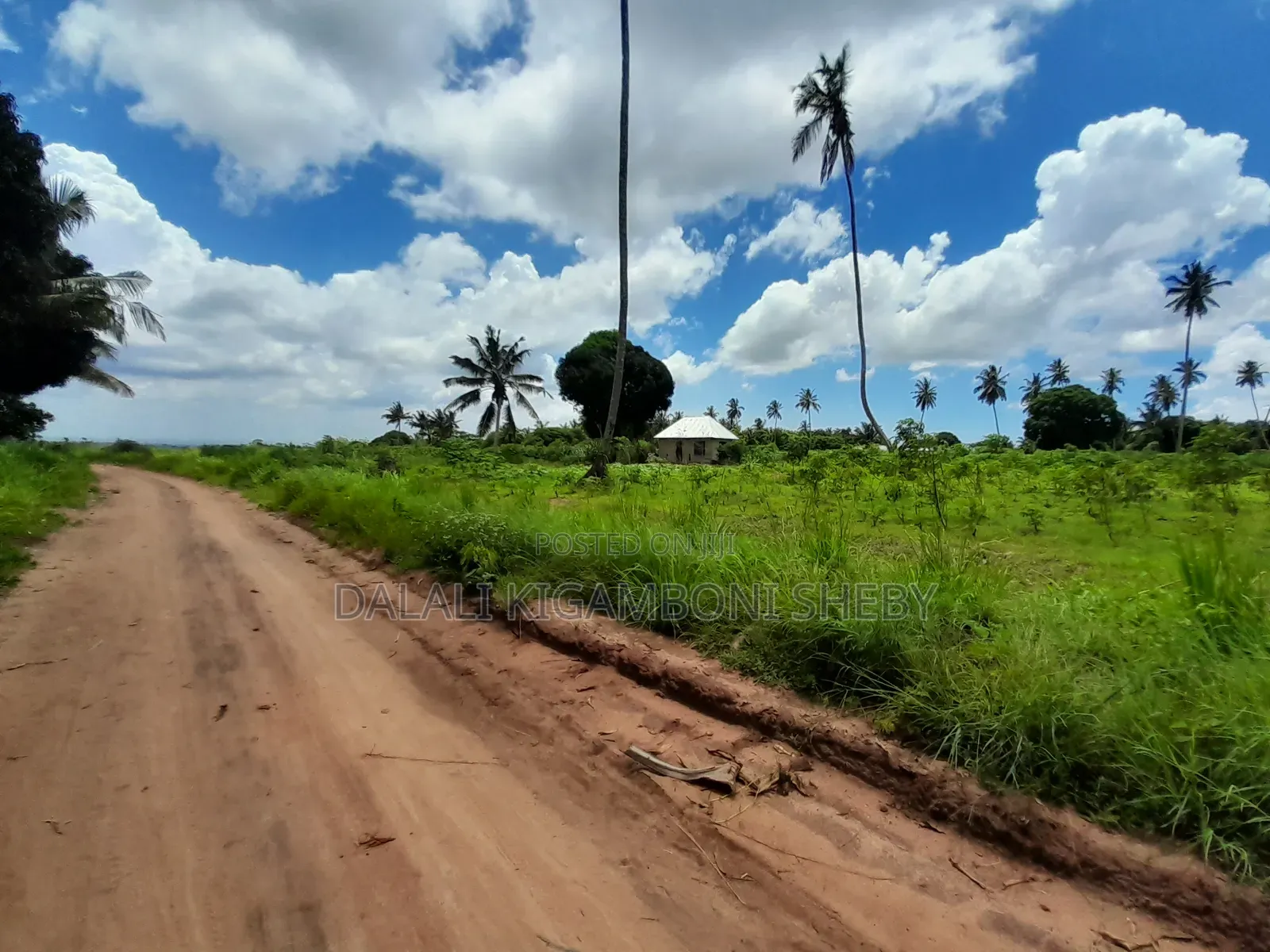 Eneo Linauzwa Kigamboni Mikwambe