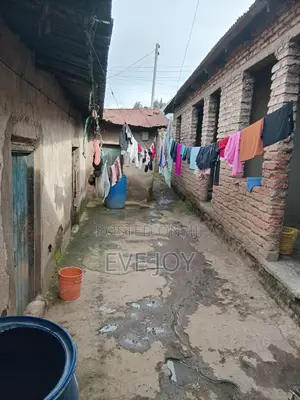 Real Estate