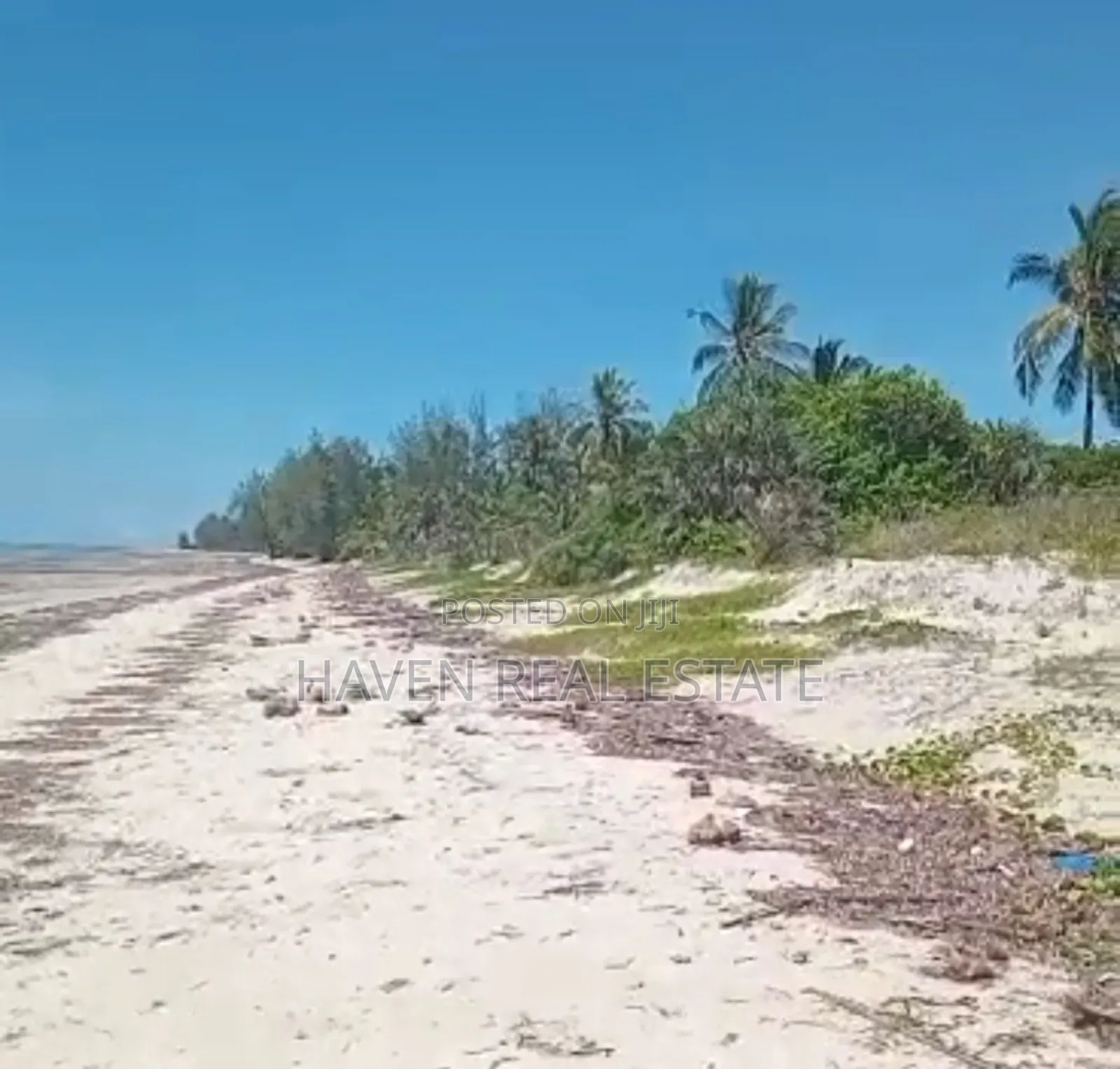 Prime Beach Plot for Sale at Ushongo Pangani