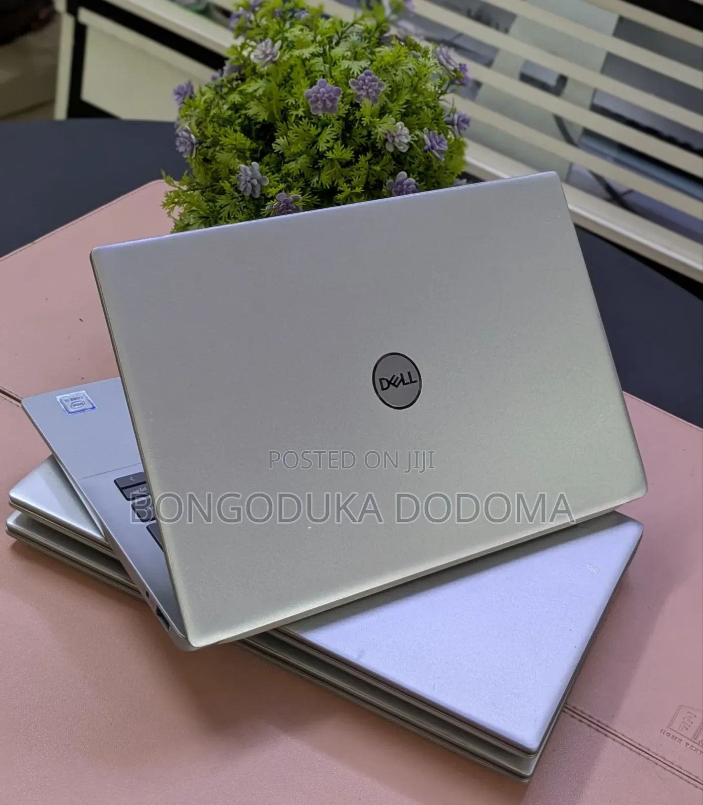 Laptop Dell Latitude 3301 8GB Intel Core i5 SSD 256GB