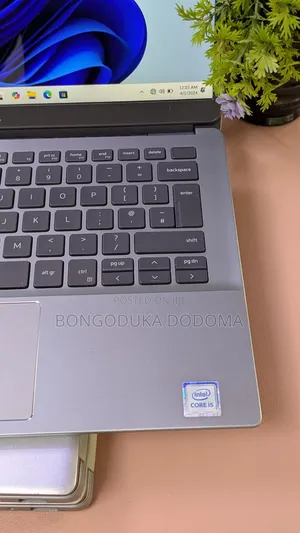 Laptop Dell Latitude 3301 8GB Intel Core i5 SSD 256GB