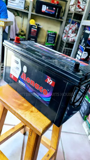 Monaco Battery N100