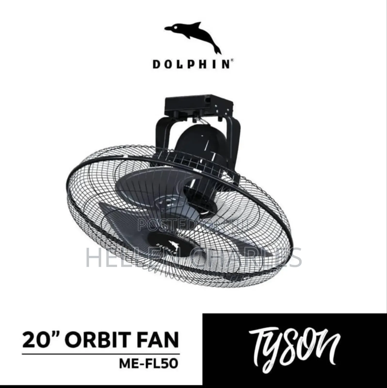 Dolphin Orbit Fen Size 20