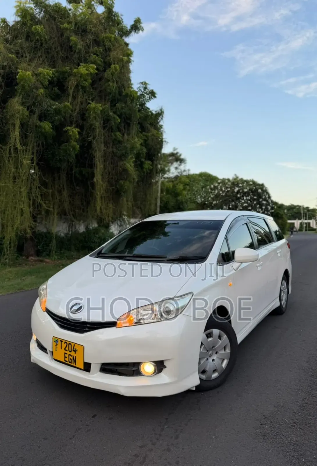 Toyota Wish 2010 Pearl